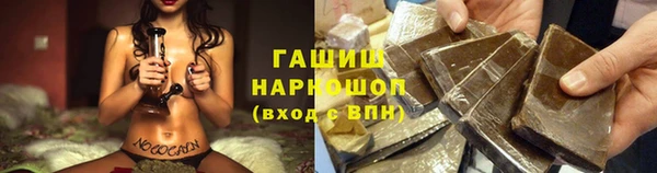 прущие грибы Елабуга