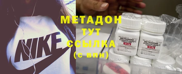 прущие грибы Елабуга