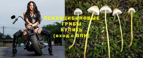 спайс Абаза