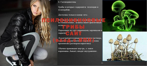 кокс Абдулино